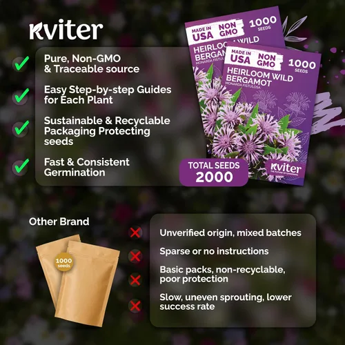 Vista 5 de 2,000 semillas de flores tradicionales de bergamota silvestre para plantar