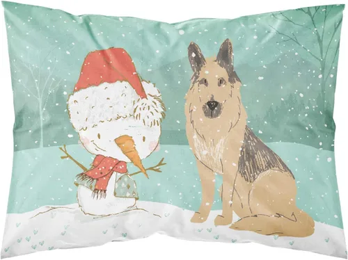 Vista 5 de Caroline's Treasures BB7625PILLOWCASE - Funda de almohada decorativa de tela con texto en inglés "Welcome Friends" Airedale Terrier estándar