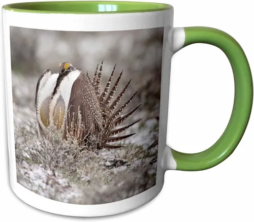 Vista 17 de 3dRose Taza de café, tamaño – 11oz – Faro de Cabo Blanco SP, Port Orford Oregon – US38 MGI0164 – Mark Gibson Lighthouses – divertido regalo de taza