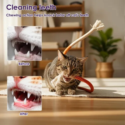 Vista 4 de 6 piezas de cuerda para masticar para gatos, juguetes interactivos para masticar, juguete de cuerda doblada para gatos, juguetes a prueba