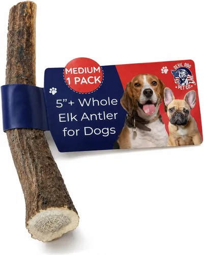 Vista 10 de Devil Dog Pet Co. Cuernos de alce divididos para perros, masticables naturales para perros con médula expuesta, larga duración y sin olor
