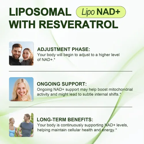 Vista 6 de Suplemento alternativo NMNH, resveratrol de ribósido de nicotinamida NAD, NAD liposomal + resveratrol, suministro de 30 días - Suplemento NAD