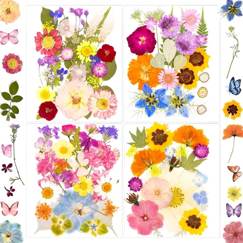 Vista 9 de 99 piezas de flores prensadas y mariposas para moldes de resina, hojas de flores naturales assortidas para pegatinas de arte DIY, manualidades