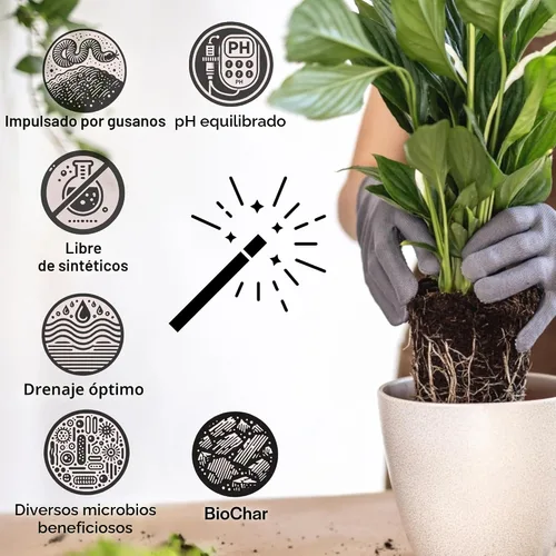 Vista 3 de Craft - Mezcla orgánica para macetas para plantas de interior, tierra para plantas de casa Elite, tierra gruesa y bien drenante para todas