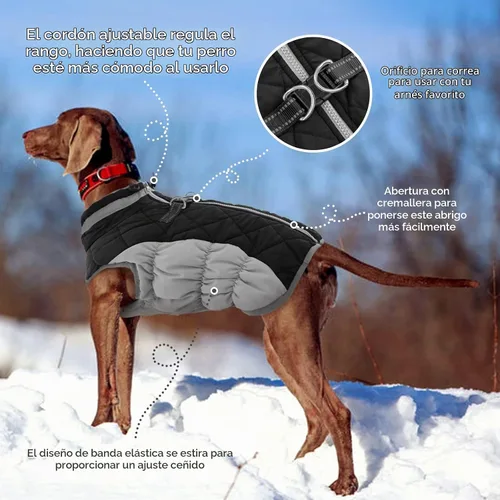Vista 4 de FUAMEY Abrigo para perros pequeños, chaqueta de invierno de forro polar