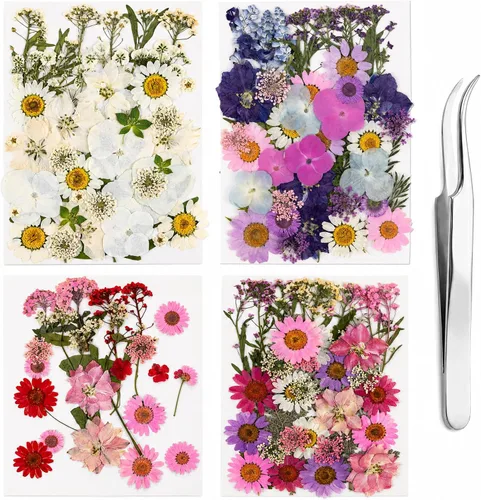 Vista 9 de 40 piezas de flores prensadas secas rosas para resina 40 unidades rosa
