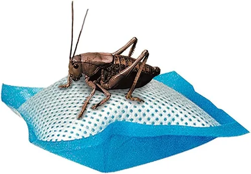 Vista 2 de Zilla Almohadas de agua de grillo de comida para reptiles, paquete de 6