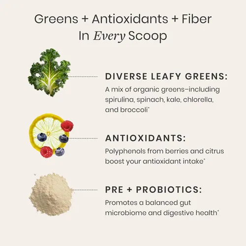 Vista 5 de Perelel Synbiotic Greens - Mezcla de superalimentos con frutas, verduras, probióticos, fibra, espirulina y clorella, suplemento de verduras diarias