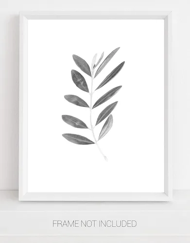 Vista 4 de WESTBROOK DESIGN STUDIO Olive Branch with Leaves Botanical Wall Art Print - 11x14 UNFRAMED, Minimalist Modern Black & White Decor - A Neutral