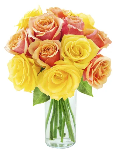Vista 26 de KaBloom - Rosas arcoíris (media docena)- Flores frescas para cumpleaños, San Valentín y Día de la Madre