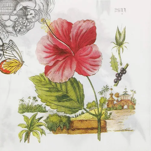 Vista 47 de Zelten Servilletas de papel de colores (rosa telar)