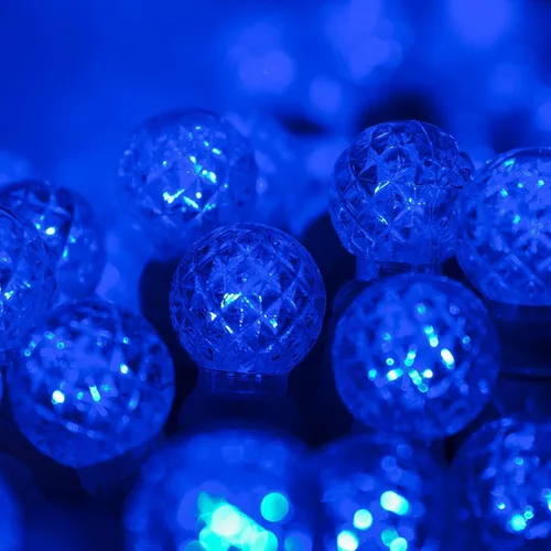 Vista 10 de Wintergreen Lighting Guirnalda de luces LED color frambuesa de 24 pies, color dorado