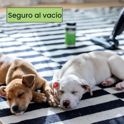 Vista 5 de Pet Life Unlimited Polvo desodorante y refrescante para alfombras, seguro para mascotas, aroma a hoja de enebro a base de plantas, fabricado