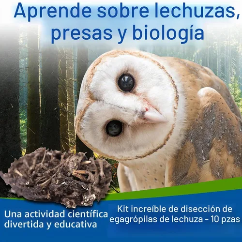 Vista 5 de Amazing Owl - Kit de disección de pellets de búho – Juego de pellets de búho de 10 piezas para proyectos de laboratorio científico – con pinzas