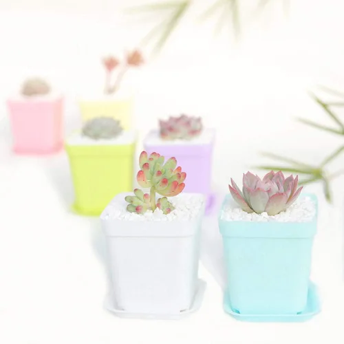 Vista 6 de Paquete de 24 macetas de plástico cuadradas de 3 pulgadas de varios colores, contenedor de trasplante de vivero para plántulas, macetas