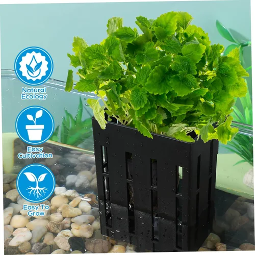 Vista 6 de Ipetboom Soporte colgante para plantas de acuario, 4 piezas, maceta acuática con gancho, plantas acuáticas para acuario, plantas de agua para As