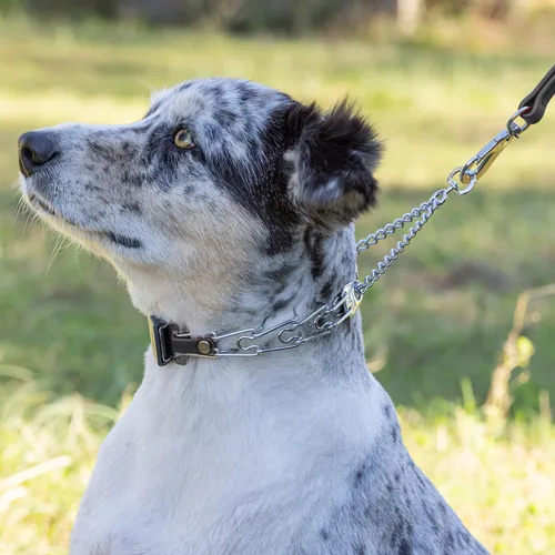 Vista 7 de Collar de perro de acero cromado Herm Sprenger para perros pequeños con hebilla de liberación rápida ClicLock y inserto de Biothane Collar de punta