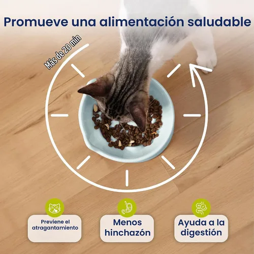 Vista 3 de PawsPik Lynx - Cuenco elevado de cerámica para perros y gatos, color azul Azul cielo