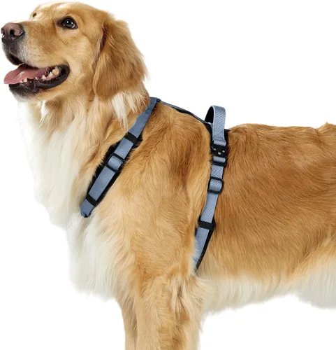 Vista 6 de Arnés para Perro PAWS PASSION para Perros Extra Grandes, Arnés para Perro Sin Tirones Fácil de Caminar con Herrajes Metálicos, Diseño Ergonómico