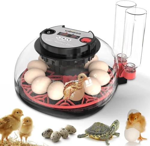 Vista 16 de Nest I - Incubadora de 12 huevos para principiantes, giro automático de huevos, humedad constante con botella de agua de recarga automática