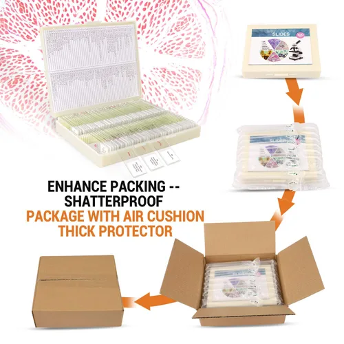Vista 4 de Diapositivas preparadas del microscopio con las muestras 100Pcs para la ciencia de los estudiantes de los niños Animal Plant Insect Specimens