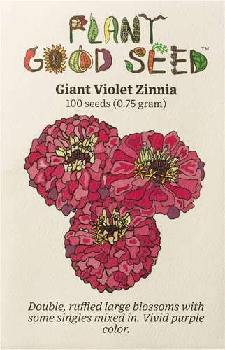 Vista 6 de Plant Good Seed Organic Benary's - Semillas gigantes de zinnia de coral para plantar: flor cortada para clima cálido, flores apiladas doble, paquete