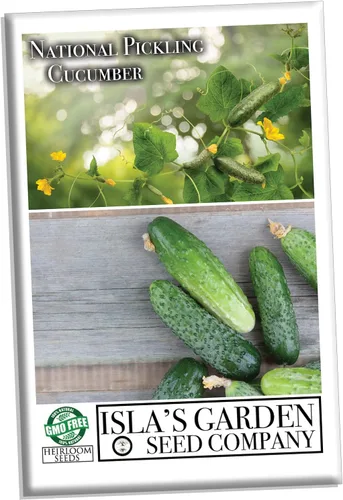 Vista 3 de Semillas nacionales de pepino encurtido para plantar, más de 75 semillas tradicionales por paquete, semillas de jardín de Isla