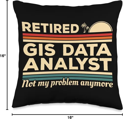 Vista 4 de GIS Data Analyst Gifts Retired GIS Data Analyst Not My Problem Anymore - Almohada de 16 x 16 pulgadas, multicolor