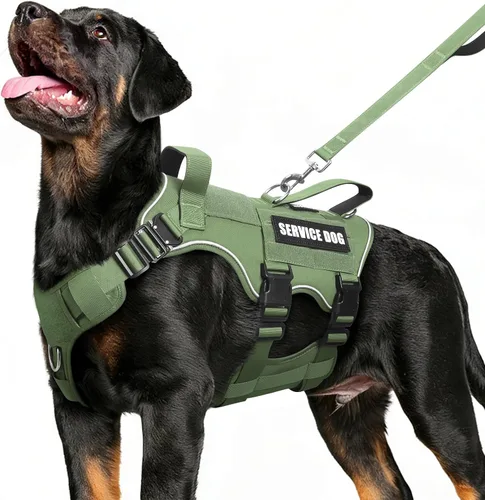 Vista 11 de Juego de chaleco y correa táctico para perro de servicio, arnés resistente con hebillas de metal para perros de tamaño mediano, chaleco ajustable