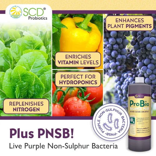Vista 3 de SCD Probiotics ProBio Balance Plus - Haz 20 veces más acondicionador de suelo - Super concentrado de microorganismos beneficiosos eficaces +