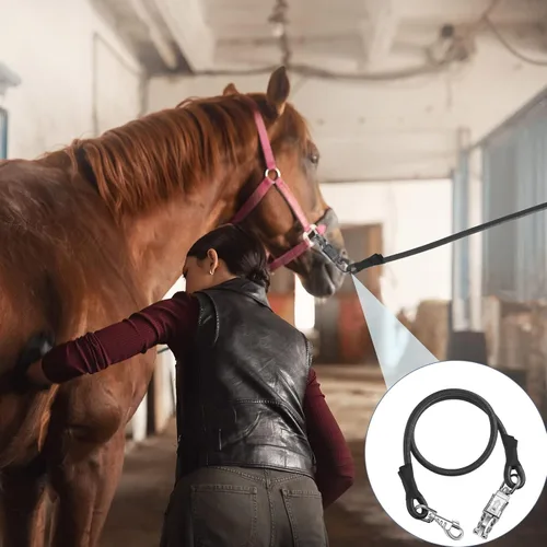 Vista 5 de Riakrum 4 lazos elásticos para remolque de caballo con cierre rápido, color Negro