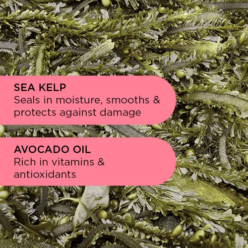 Vista 6 de Noughty Acondicionador definidor 97% Natural Wave Hello Curl para acondicionar, suavizar y definir los rizos con extracto de algas marinas y aceite