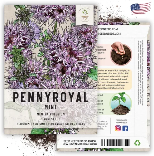 Vista 6 de Seed Needs, Pennyroyal - Semillas de menta – 1000 semillas tradicionales para plantar mentha pulegium – Hierba medicinal sin OMG y sin tratar