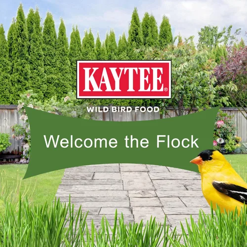 Vista 6 de Kaytee Wild Bird Ultimate Alimento para Aves Silvestres Sin Desorden, Semillas para Cardenales, Pinzones, Carboneros, Trepadores Azules, Pájaros