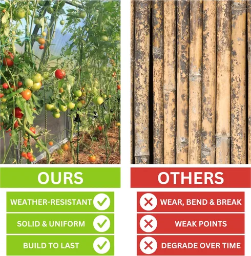 Vista 3 de Juego de 20 estacas de fibra de vidrio ecológicas de 3 pies (opciones de altura/cantidad), duraderas, ligeras, tomates, árboles, fresas, plantas