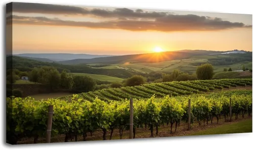 Vista 14 de Lienzo decorativo de 20 x 40 pulgadas, arte de pared de viñedo, paisaje, toscana, Italia, naturaleza, desierto, fotografía, cuadros enmarcados