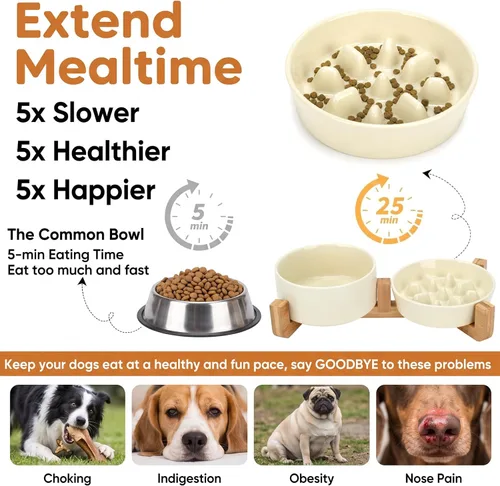 Vista 3 de Tazón elevado para perros de alimentación lenta, juego de cuencos de agua