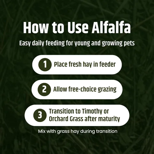 Vista 7 de High Desert Heno de alfalfa, alimento de hojas blandas rico en proteínas para animales jóvenes en crecimiento, alimento natural para conejos y heno