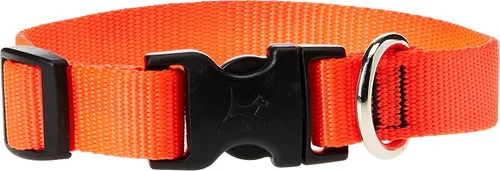 Vista 7 de Collar para perros, ajustable para perros pequeños a grandes. 3/4 de pulgada. De LupinePet, Azul