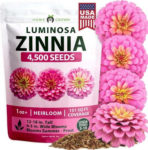 Vista 159 de HOME GROWN Bachelor Button Tall Mix 700+ Semillas de flores Centaurea
