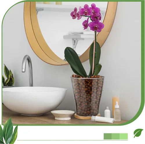 Vista 6 de Macetas de orquídea de vidrio con agujeros y bandeja de bambú con control de nivel de agua Maceta de vidrio transparente semi hidropónica con raíces
