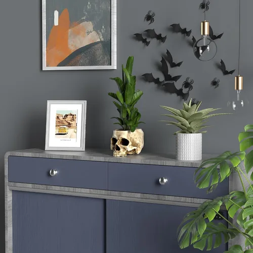Vista 8 de READAEER Maceta de Calavera con Orificio de Drenaje, Maceta de Flores en Forma de Calavera de Resina/Tazón para Dulces, Decoración Gótica