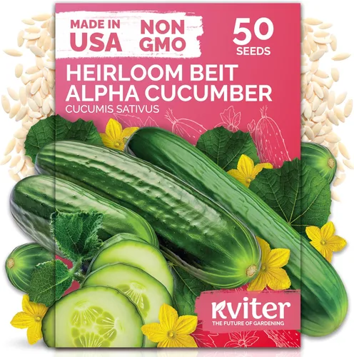 Vista 46 de KVITER 50 semillas de calabaza de azúcar orgánicas (Cucurbita Pepo) – Semilla de calabaza pequeña reliquia, carne dulce de grano fino para enlatar