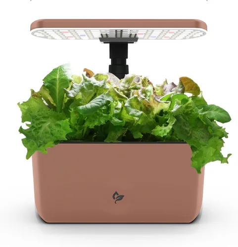 Vista 14 de Sistema hidropónico de jardín interior AeroGarden Harvest con luz de cultivo LED y kit de hierbas, con capacidad para hasta 6 cápsulas, color blanco