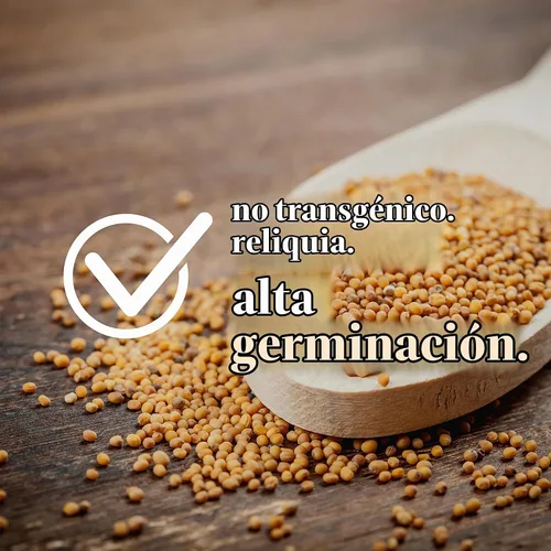 Vista 2 de Sustainable Seed Co Semillas de berro orgánico 0.04 oz ~ 780 semillas