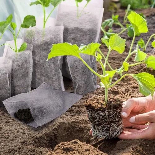 Vista 7 de Tarklanda 200 bolsas de vivero para plantas, biodegradables no tejidas para plantas, bolsas de tela para plantas de semillero, bolsas para plantas