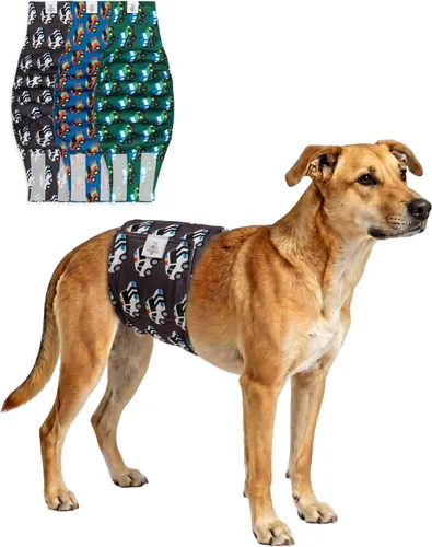 Vista 53 de CuteBone - Pañales lavables para perro macho, banda abdominal, paquete de 3 unidades, color negro, modelo DM54XS