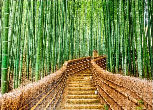 Vista 8 de MyPuzzle Kyoto Japan in Bamboo Forest - Rompecabezas prémium de 100 piezas para adultos