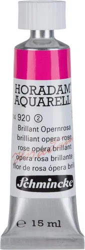 Vista 100 de Schmincke HORADAM AQUARELL ONETZ 0.2 fl oz,l 14031001 031 ONETZ