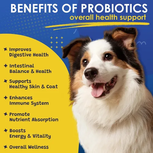 Vista 3 de Probióticos para perros, probióticos para perros para la salud digestiva, vitaminas para perros, polvo multivitamínico para perros